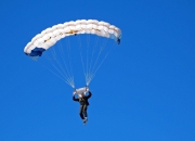 PG电子APP链接-跨界风暴，当掘金打穿爵士法则，文班亚马如何在F1赛道接管年度争冠？