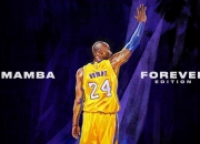 PG电子官方-波斯铁骑展韧性，C罗逆境定乾坤—解析伊朗的团队压制与巨星的决胜时刻